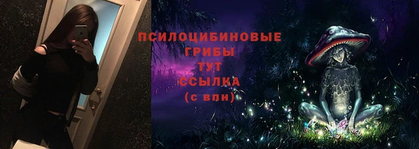 хмурый Армянск