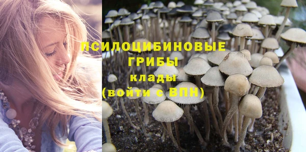 прущая мука Арсеньев