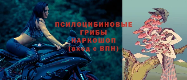 хмурый Армянск