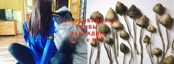 хмурый Армянск